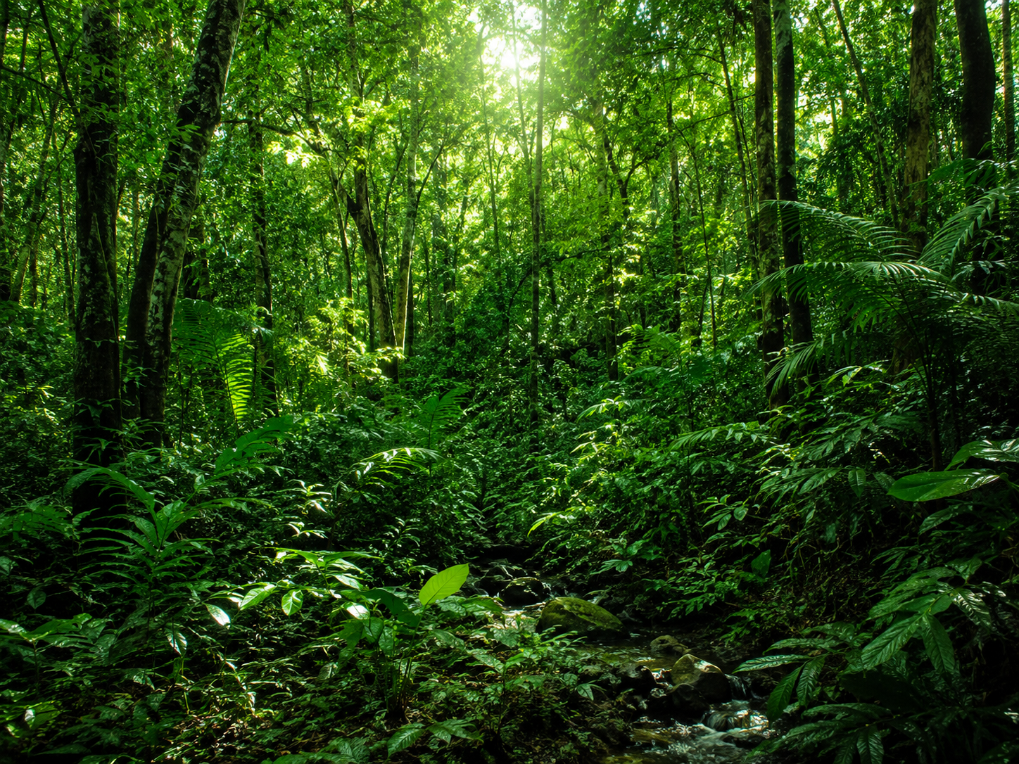 Licenciamento Ambiental